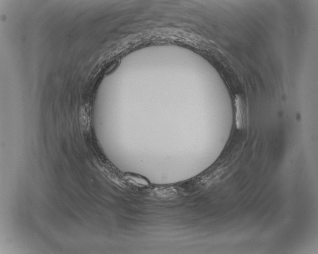 X0000080171491200612221237