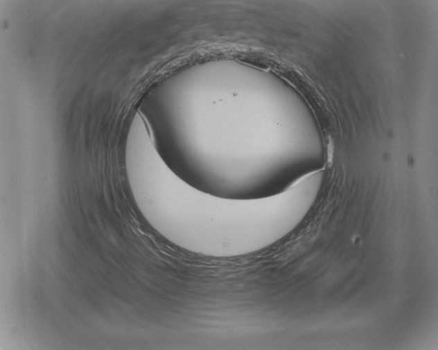 X0000080171492200612221237