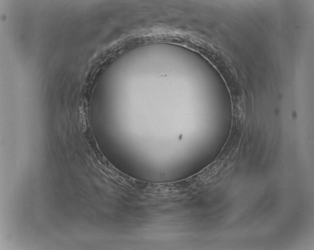 X0000080171493200612221237