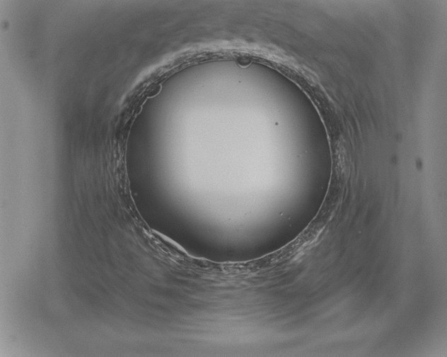 X0000080171494200612221237