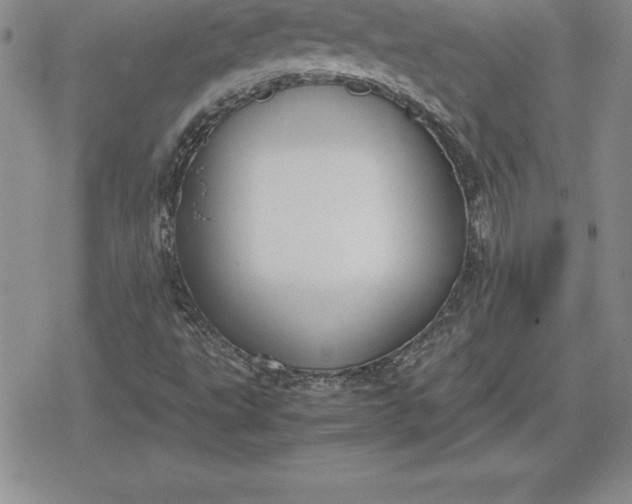 X0000080171495200612221237