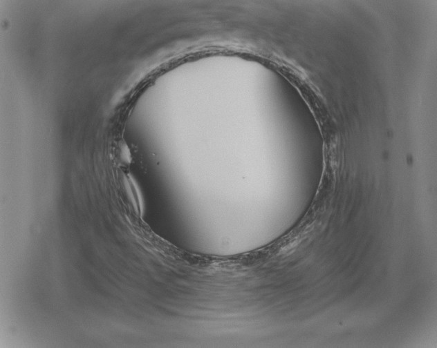 X0000080171496200612221238