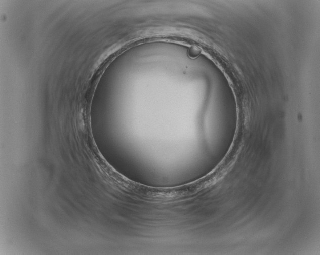 X0000080171497200612221238