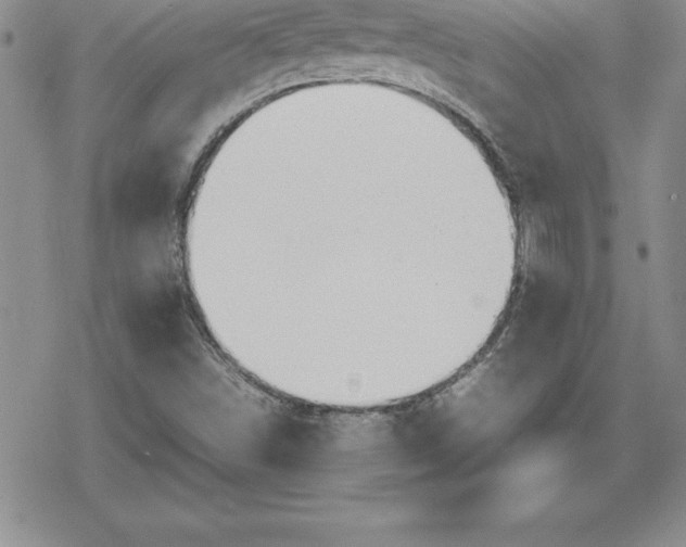 X0000080171498200612221238