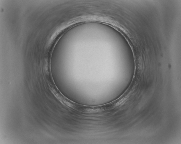 X0000080171499200612221238