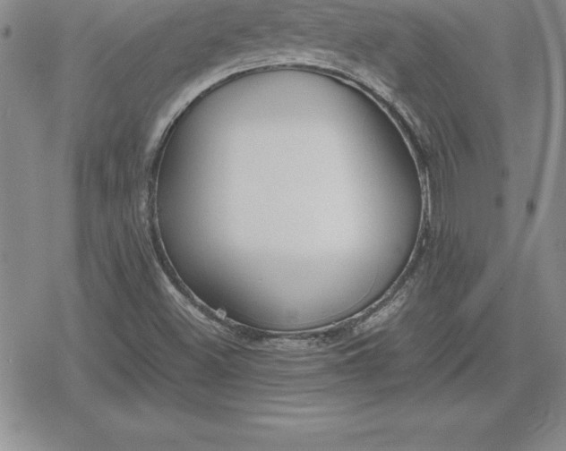 X0000080171500200612221238