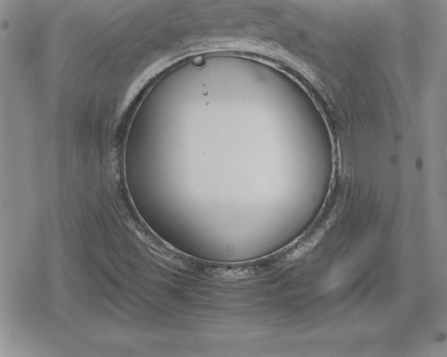 X0000080171501200612221238