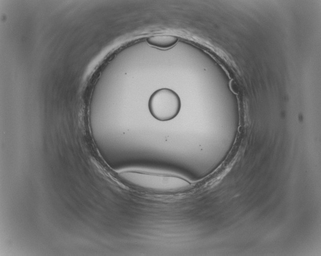 X0000080171502200612221238