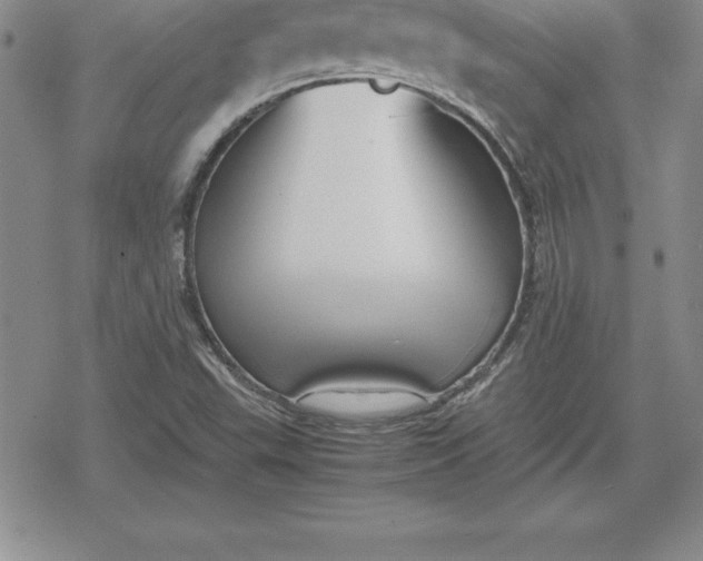 X0000080171503200612221238