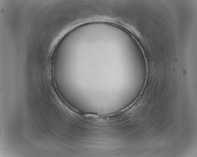 X0000080171504200612221238