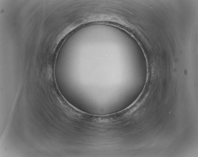 X0000080171505200612221238