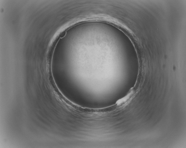 X0000080171506200612221238