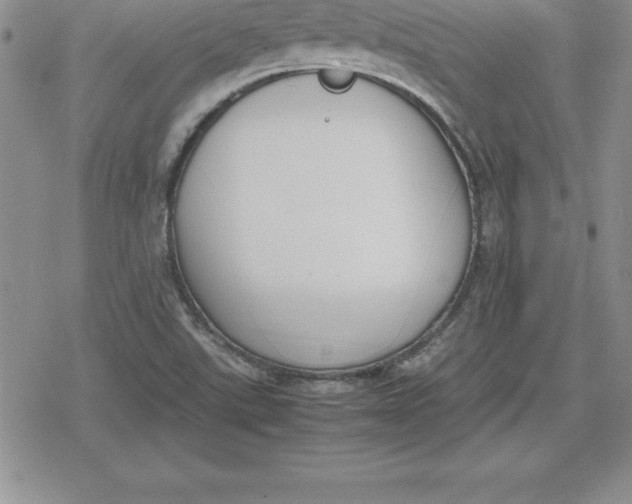 X0000080171507200612221238