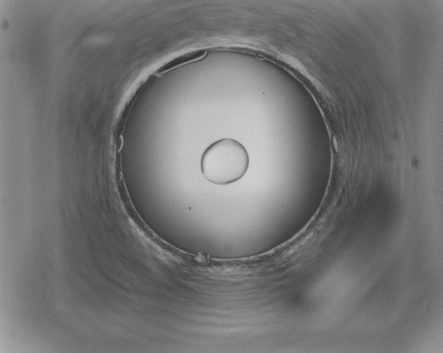 X0000080171508200612221238