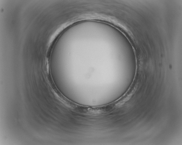 X0000080171509200612221238