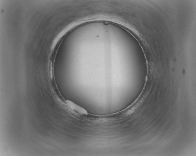 X0000080171510200612221238