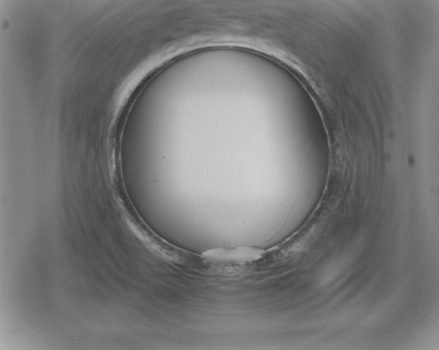 X0000080171511200612221238