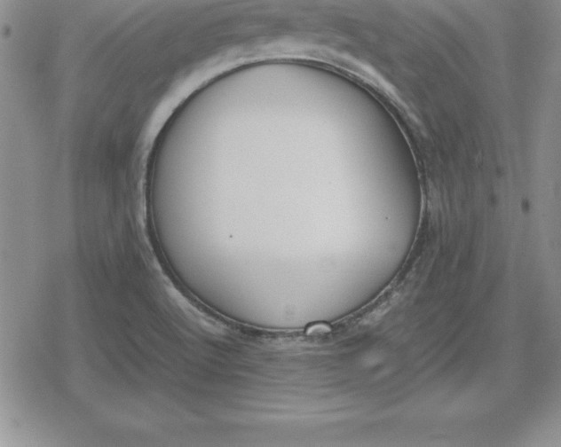 X0000080171512200612221238