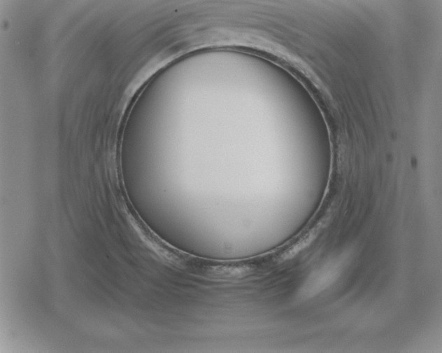 X0000080171513200612221238