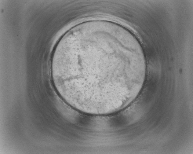 X0000080171514200612221238