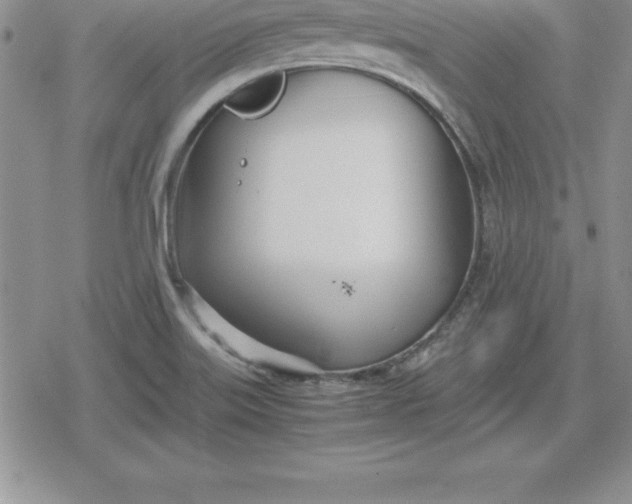 X0000080171515200612221238