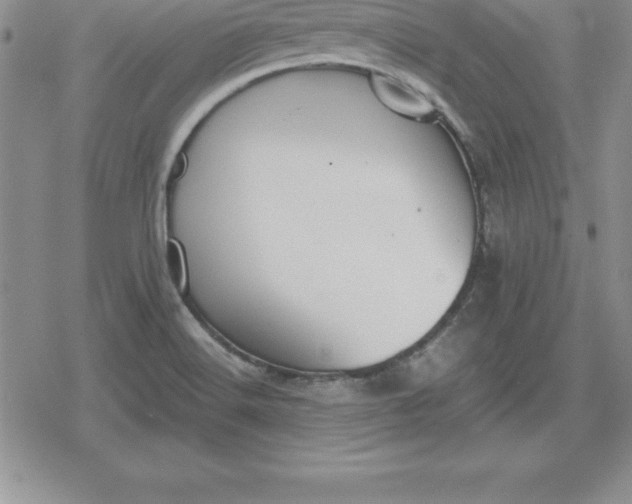 X0000080171516200612221238