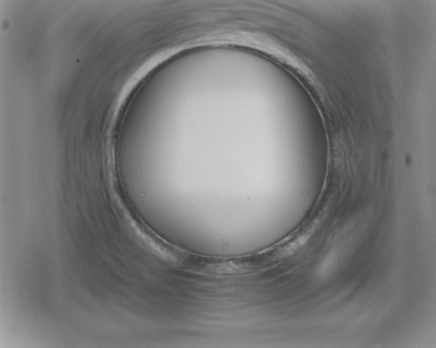 X0000080171517200612221238