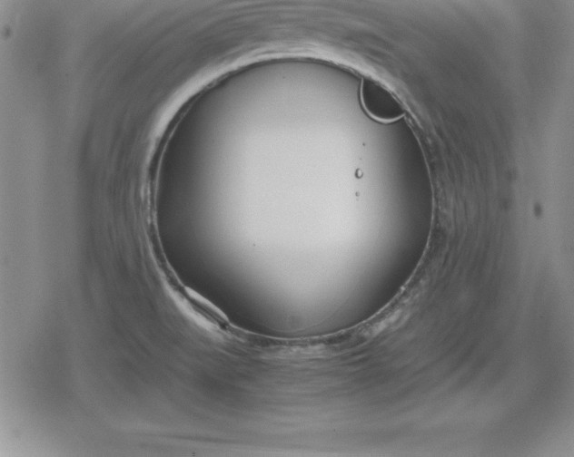 X0000080171519200612221238