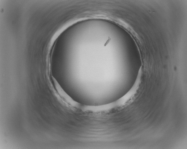 X0000080171520200612221238