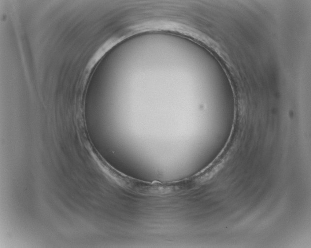 X0000080171521200612221238