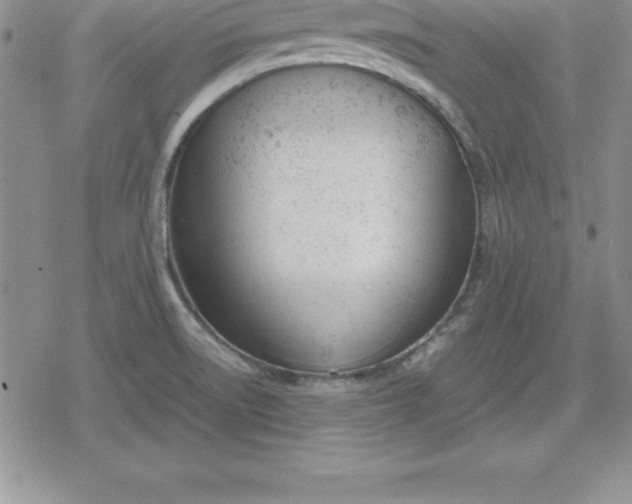 X0000080171522200612221238