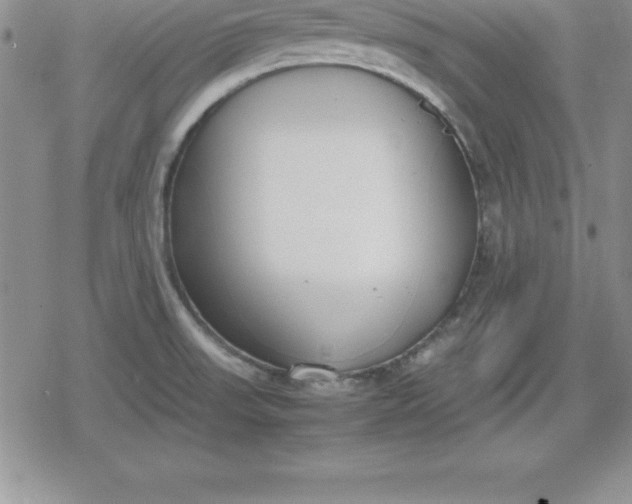 X0000080171523200612221238