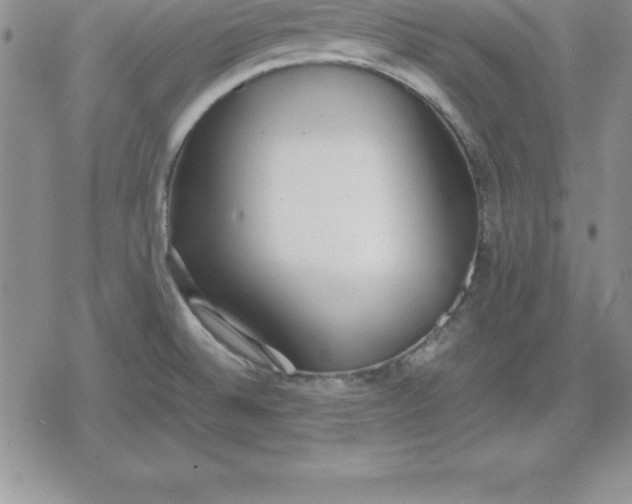 X0000080171524200612221238