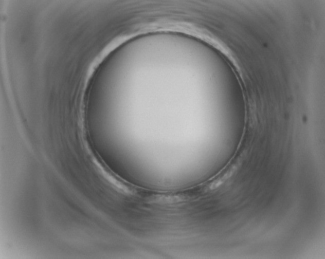 X0000080171525200612221238