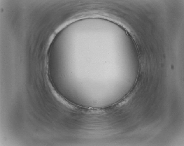 X0000080171526200612221238