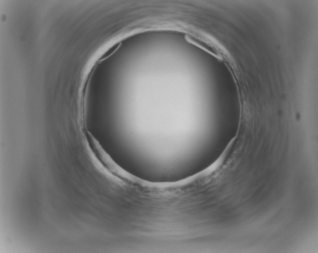 X0000080171528200612221238