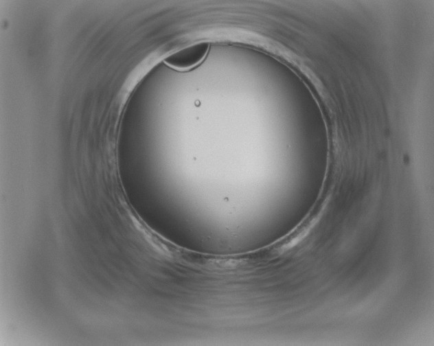 X0000080171529200612221238