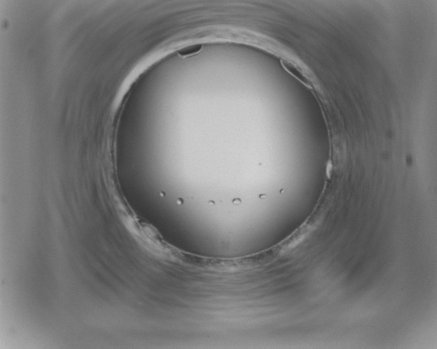 X0000080171530200612221238