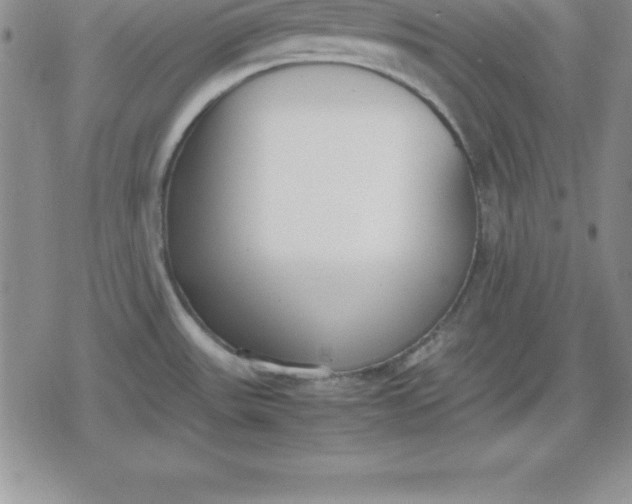 X0000080171531200612221238