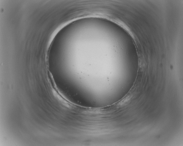 X0000080171532200612221238