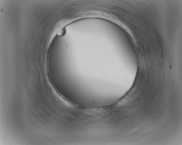 X0000080171533200612221238