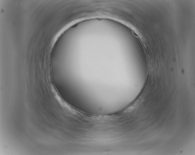 X0000080171534200612221238