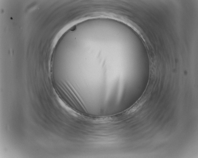 X0000080171535200612221238