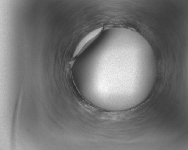 X0000080170033200612302231