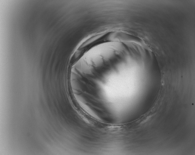 X0000080170052200612302230