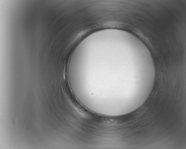 X0000080170062200612302230