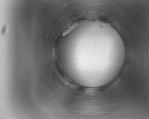 X0000080170088200612302230