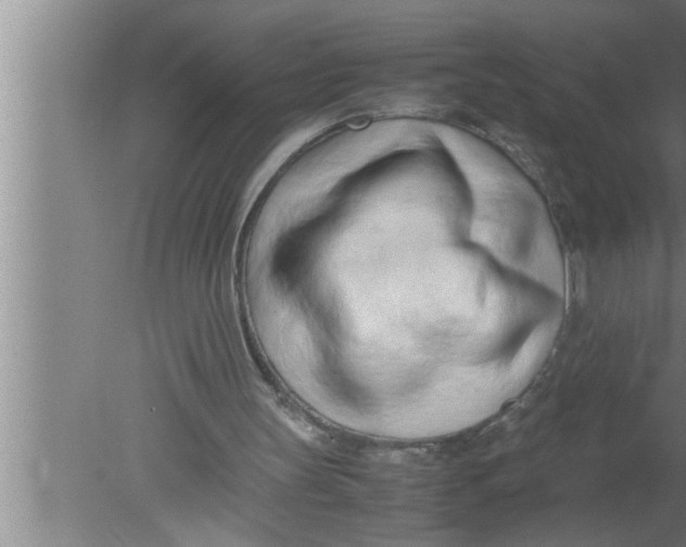 X0000080170147200612302228