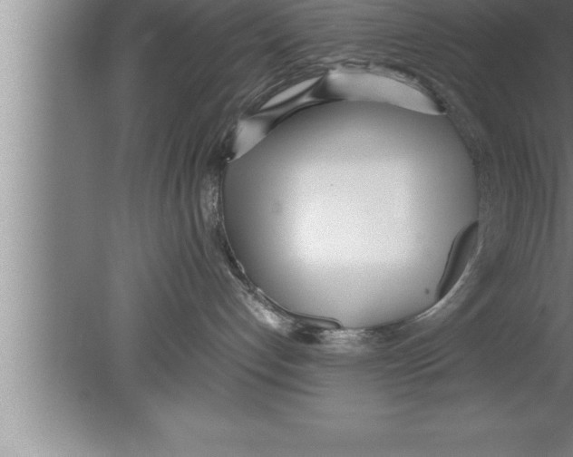 X0000080170192200612302229
