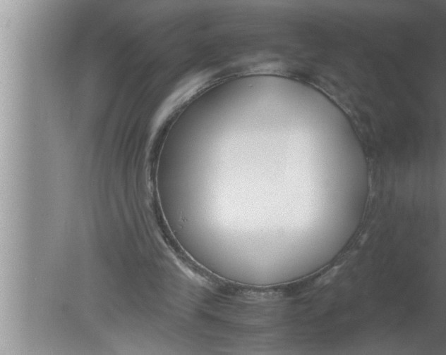 X0000080170245200612302226